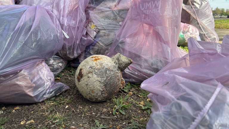 RhineCleanUp in Mannheim und Ludwigshafen