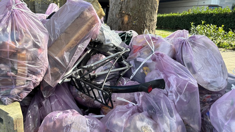 RhineCleanUp in Mannheim und Ludwigshafen