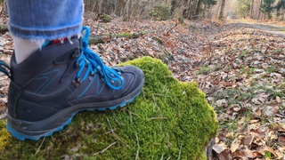 Wanderschuh im Pfälzerwald bei Kandel