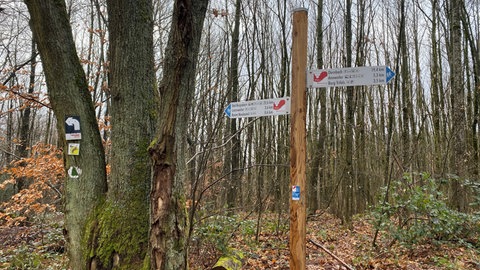 Schilder und Markierungen für Wanderwege im Pfälzerwald. Mit dem neuen Wegenetz soll das übersichtlicher werden.