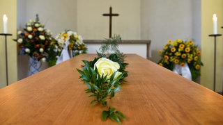 Eine weiße Rose liegt auf einem Sarg. Unbekannte Diebe haben während einer Trauerfeier auf dem Friedhof in Edenkoben sämtliche Karten mit Beileids-Bekundungen gestohlen.