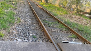 Bahnschiene bei Landau.