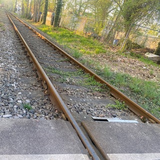 Bahnschiene bei Landau.