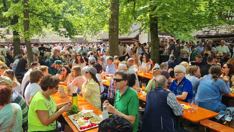 Historische und aktuelle Bilder vom Handkäs-Fest in Lustadt