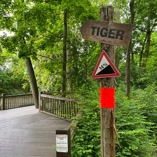 Das Tigergehege im Zoo Landau.