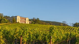 das Schloss Villa Ludwigshöhe bei Edenkoben