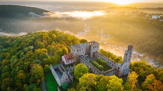 Kloster Limburg von oben. Die Stadt Bad Dürkheim feiert in diesem Jahr 1.000 Jahre Kloster Limburg.