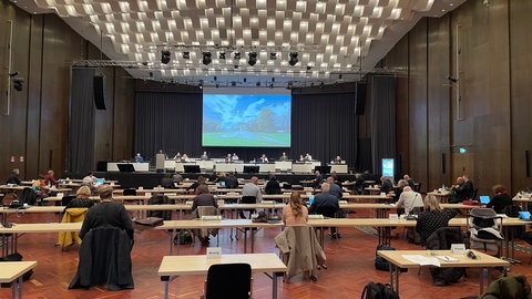Stadtratsitzung in Ludwigshafen: Zweiter Nachtragshaushalt für 2023 beschlossen