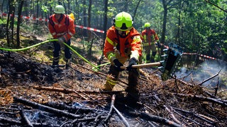 Die Feuerwehr übt für einen Waldbrand. Symbolbild. Red Farmer - ein gemeinnütziges Netzwerk - feiern Jubiläum. Landwirte helfen seit zwei Jahren, wenn Wald und Wiesen brennen, auch in Herxheim.