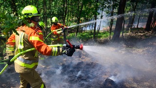 Waldbrandgefahr im Pfälzer Wald  Symbolbild  Einsatzkräfte arbeiten bei einer Waldbrandübung.