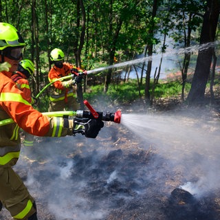 Waldbrandgefahr im Pfälzer Wald  Symbolbild  Einsatzkräfte arbeiten bei einer Waldbrandübung.
