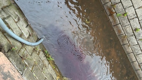 Das Polizeifoto: Der Schlauch leitet Rotwein ins Wasser in Edesheim