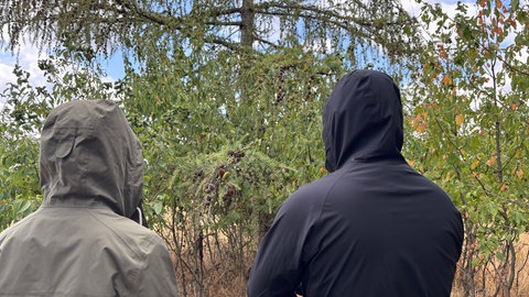 Antifa Mitglieder von hinten mit Kapuze. "Leo" und "Karl" bei der Antifa in der Pfalz.
