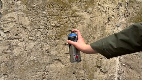 Sprühdose in Hand vor Wand. "Leo" hält symbolisch eine Sprühdose in der Hand.