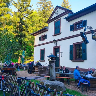 Die Waldhütte Hohe List in der Westpfalz.