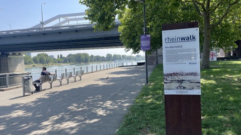 Auf der Suche nach Schattenplätzen in der Innenstadt von Ludwigshafen