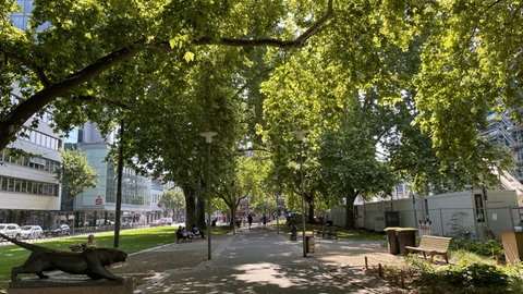 Auf der Suche nach Schattenplätzen in der Innenstadt von Ludwigshafen