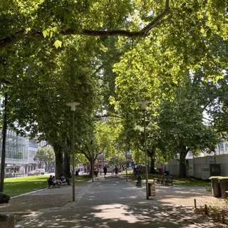 Auf der Suche nach Schattenplätzen in der Innenstadt von Ludwigshafen