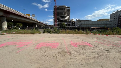 Hier soll ein Teil der zukünftigen Helmut-Kohl-Allee in Ludwigshafen verlaufen