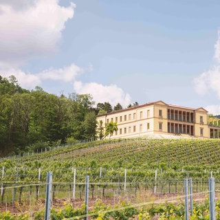 So sieht die Villa Ludwigshöhe in Edenkoben nach der Sanierung aus. 