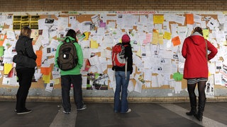 Studierende vor einer Wand mit Wohnungsanzeigen (Symbolbild). In Landau gibt es noch freie Plätze in Wohnheimen.