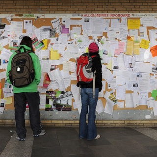 Studierende vor einer Wand mit Wohnungsanzeigen (Symbolbild). In Landau gibt es noch freie Plätze in Wohnheimen.