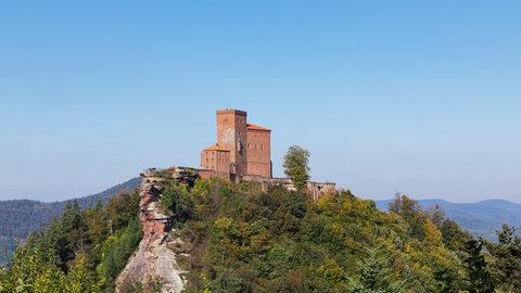 Die Burg Trifels bei Annweiler. Hier wurden am Wochennende mehrere Wanderer von Hornissen attackiert