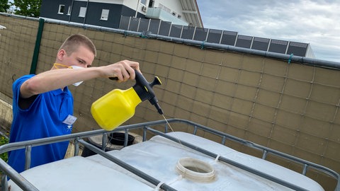 Tigermücken-Bekämpfung vor ein paar Jahren in Germersheim: Ein Schnakenbekämpfer spritzt flüssiges Bti in einen Wassertank.
