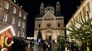 Der Dom in Speyer in der Nacht. Viele Besucher kommen wegen der Krippe in der Weihnachtszeit hier her. 