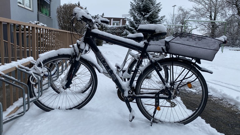 In der Pfalz liegt viel Schnee. Straßen, Wege und Pflanzen sind bedeckt damit - Kinder spielen mit dem Schnee.