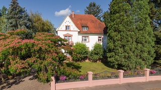 Das Weingut Anselmann in Edesheim