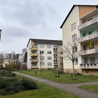 Wohnblöcke in Ludwigshafen-Gartenstadt von "BASF Wohnen + Bauen". Die BASF-Tochter verkauft tausende Wohneinheiten.