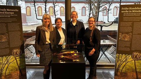Fund von Eisenbarren aus vorrömischer Zeit