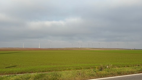 Windkraft bei Dirmstein (Kreis Bad Dürkheim) - 17 Windräder dürfen dort gebaut werden