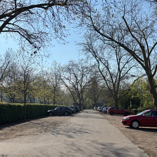 Alwin-Mittasch-Park Ludwigshafen 