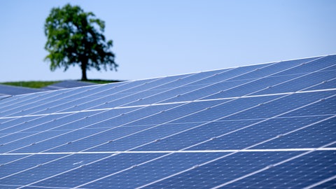 ein Solarpark, Symbolbild für BASF hält an Mega-Solarpark fest