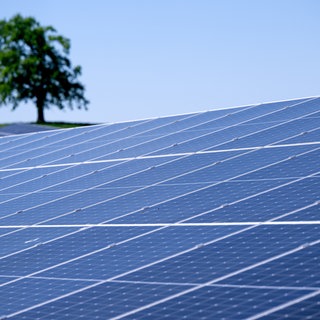 ein Solarpark, Symbolbild für BASF hält an Mega-Solarpark fest