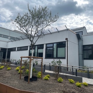 Im Schulzentrum Mundehiem gibt es jetzt Pflanzbeete ,wo früher meterlange Betontreppen verliefen