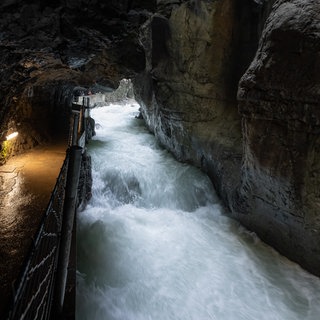 Ein Bergführer, der den Tod einer Frau aus Speyer verschuldet hat, muss eine Geldstrafe zahlen. Das berichtet die Rheinpfalz.