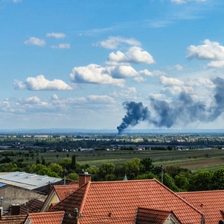 Das Foto zeigt die Rauchentwicklung in der Ferne. Auf einem Recyclinghof in Lustadt ist ein Feuer ausgebrochen.