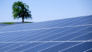 Ein Solarpark (Symbolbild). Nördlich des BASF Werks, auf Frankenthaler Gemarkung, soll ein Mega-Solarpark gebaut werden.