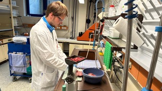 Im Landesuntersuchungsamt in Speyer wird ein Stück Fleisch auf Radioaktivität getestet. Bei Fleischproben wird vor allem das reine Muskelfleisch getestet. Es wird bei der Vorbereitung versucht möglichst viel Fett zu entfernen.