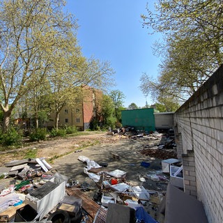 Abgelagerter Müll in der Nähe von Wohnhäusern in der Bayreuther Straße in Ludwigshafen.