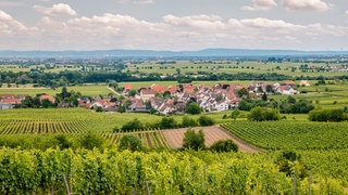 Für viele Urlauber könnte die Pfalz im Sommer ein attraktives Urlaubsziel werden. 