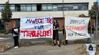 Der Verein "Schüler für Tiere" ist gegen die Tierhaltung im Circus Krone in Landau. 