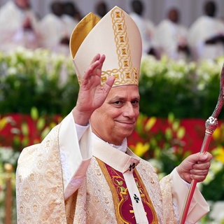 papst-leo-ein-jahr-im-amt-was-sagen-pfaelzer-katholiken-lob-und-kritik-100