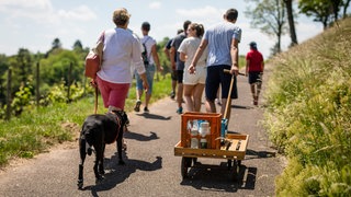 Familie mit Bollerwagen zieht durch eine Rebenlandschaft, Symbolbild für Veranstaltungstipps am Vatertag