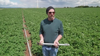 In der Vorder- und Südpfalz müssen Landwirte sich gegen dreiste Diebe wehren.
