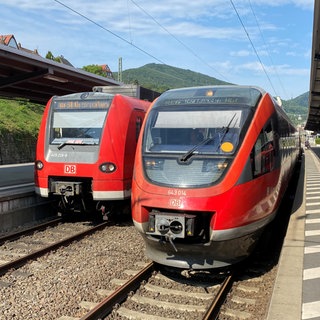 Eine S-Bahn und ein Regionaltriebwagen stehen im Hauptbahnhof von Neustadt.