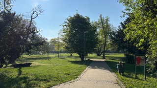 Alwin-Mittasch-Park Ludwigshafen 